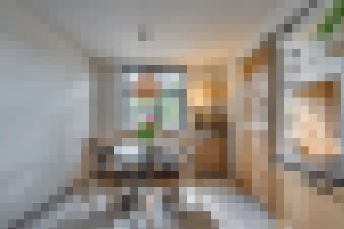 Julianastraat 35 Belfeld thumbnail 28