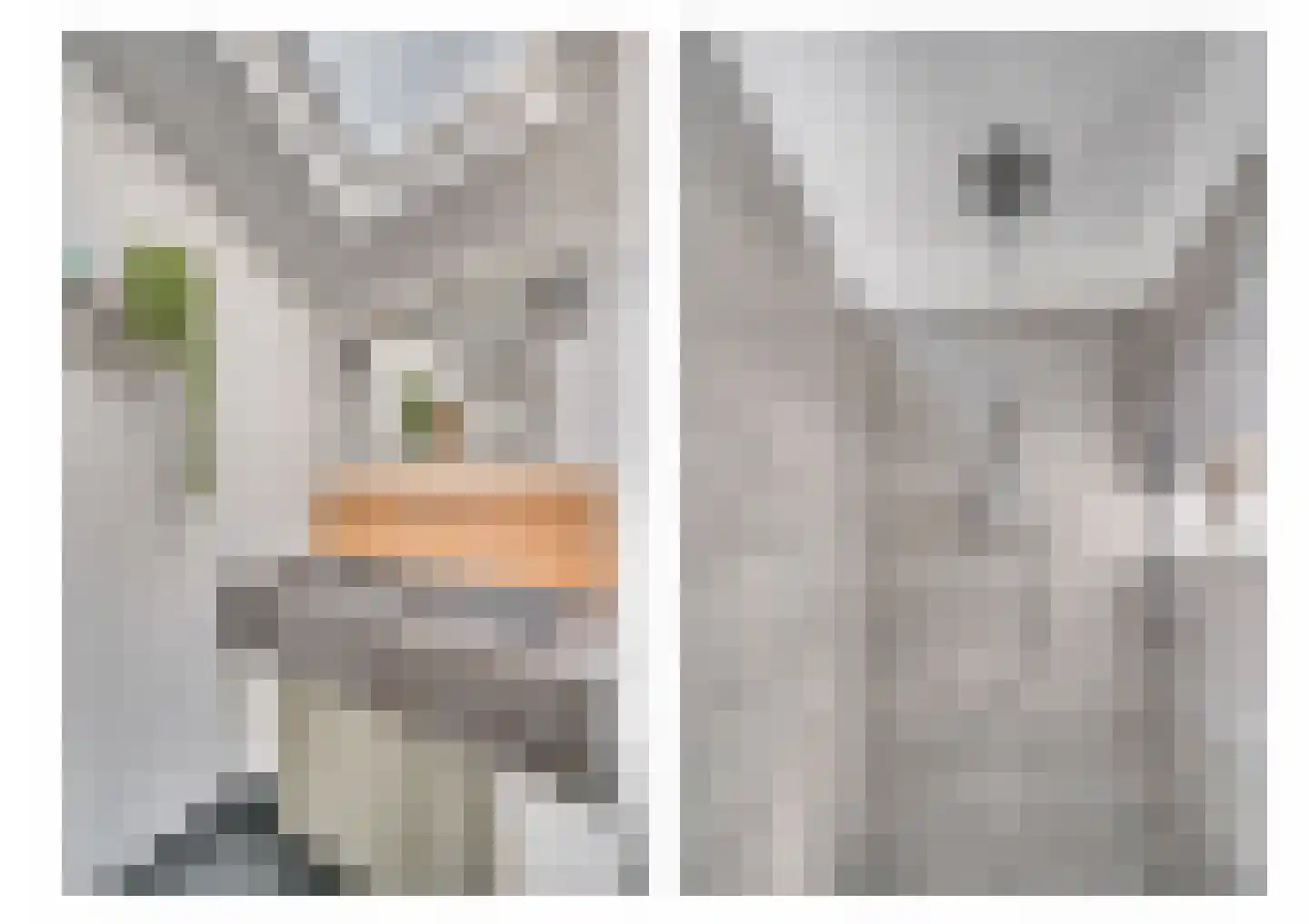Julianastraat 35 Belfeld thumbnail 38