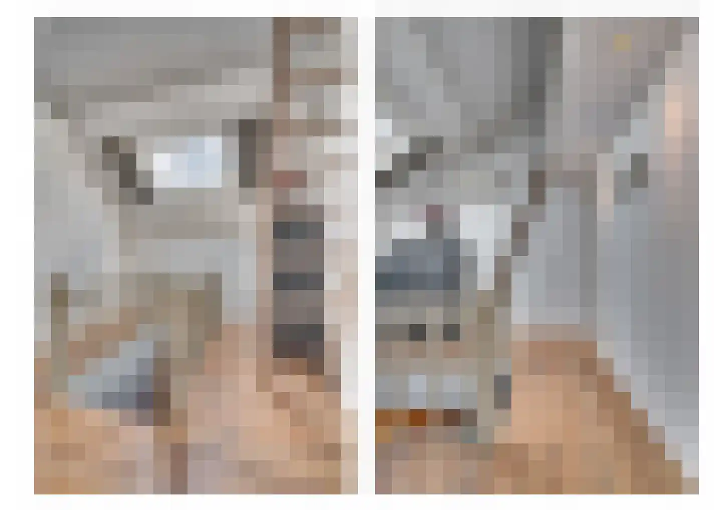 Julianastraat 35 Belfeld thumbnail 41