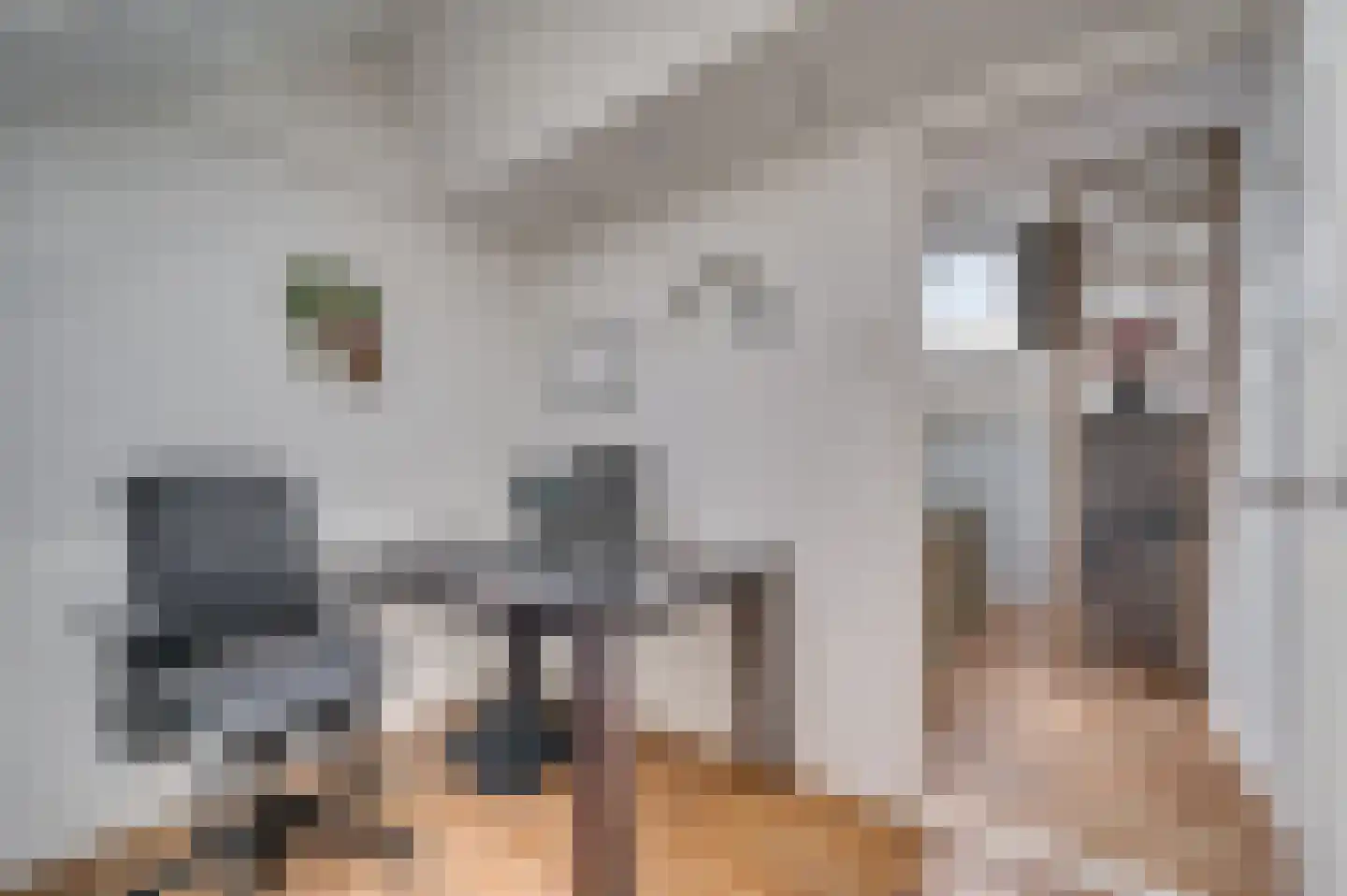 Julianastraat 35 Belfeld thumbnail 48