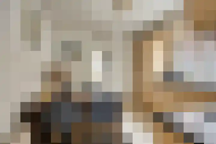 Julianastraat 35 Berlicum thumbnail 10