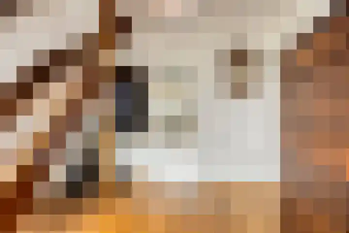 Julianastraat 35 Berlicum thumbnail 11