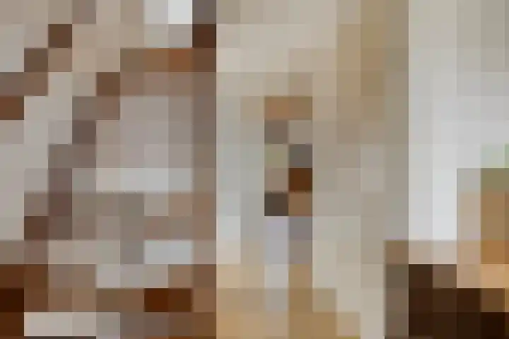 Julianastraat 35 Berlicum thumbnail 15