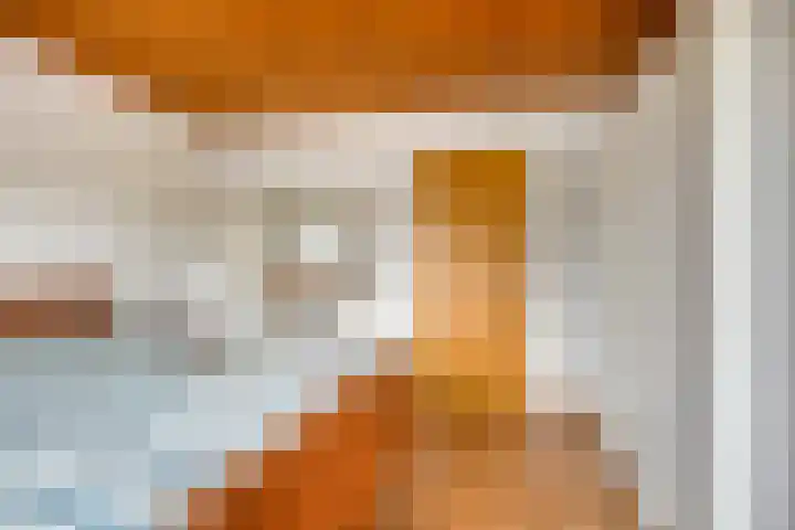 Julianastraat 35 Berlicum thumbnail 18