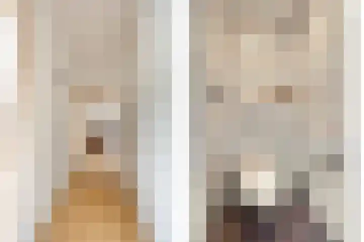Julianastraat 35 Berlicum thumbnail 22