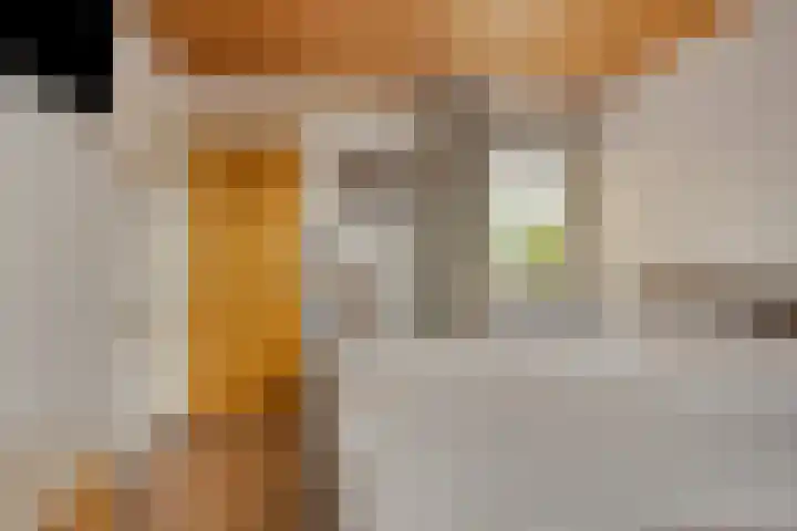 Julianastraat 35 Berlicum thumbnail 24