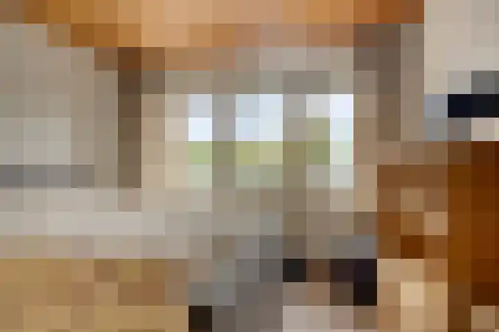 Julianastraat 35 Berlicum thumbnail 25