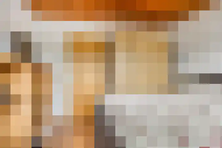 Julianastraat 35 Berlicum thumbnail 26