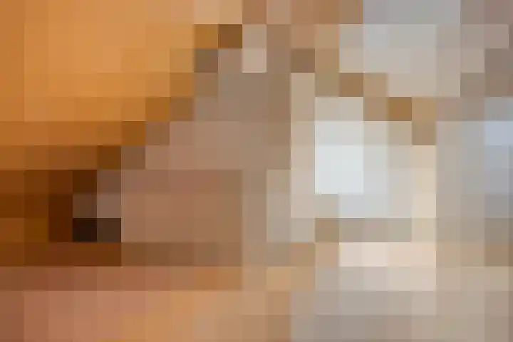 Julianastraat 35 Berlicum thumbnail 28