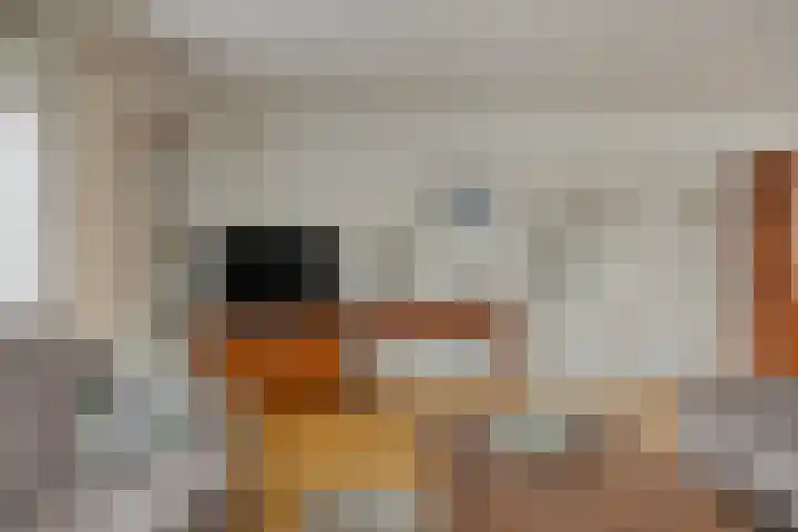Julianastraat 35 Berlicum foto 3