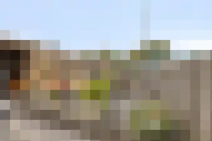 Julianastraat 35 Berlicum thumbnail 30