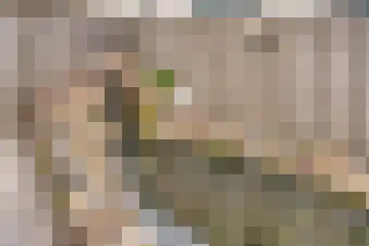 Julianastraat 35 Berlicum thumbnail 34