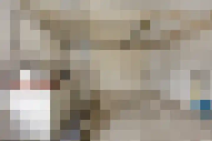 Julianastraat 35 Berlicum thumbnail 36