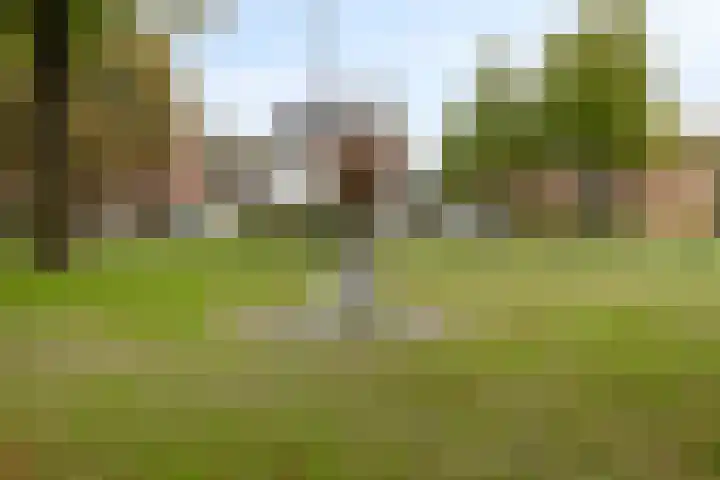 Julianastraat 35 Berlicum thumbnail 39