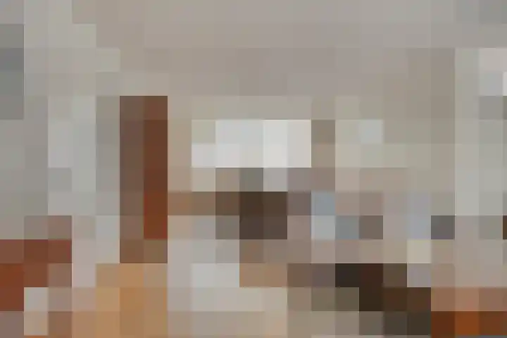 Julianastraat 35 Berlicum thumbnail 4