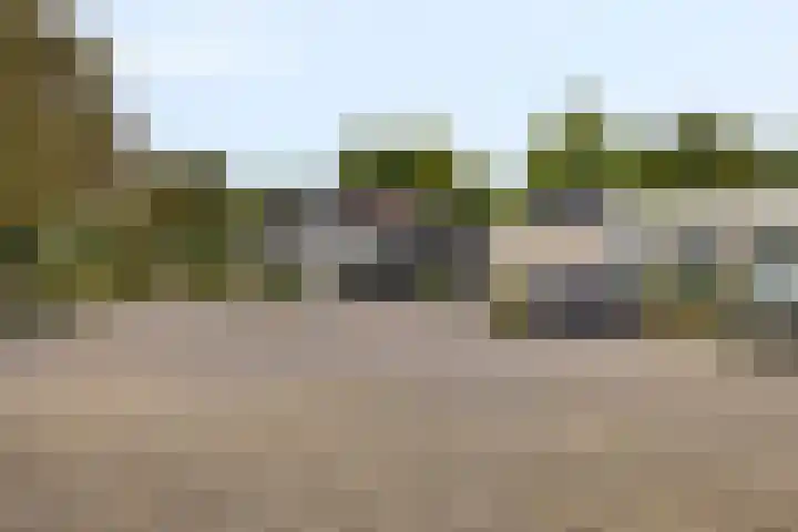 Julianastraat 35 Berlicum thumbnail 40