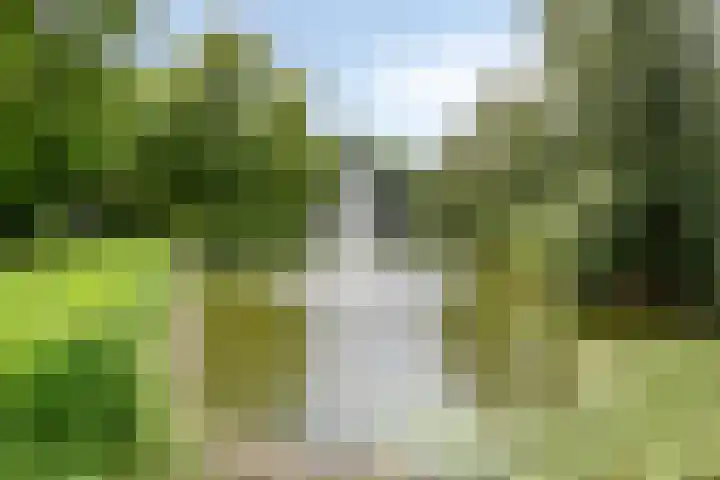 Julianastraat 35 Berlicum thumbnail 41