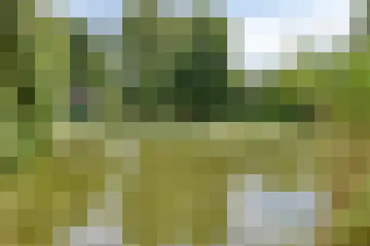 Julianastraat 35 Berlicum thumbnail 42