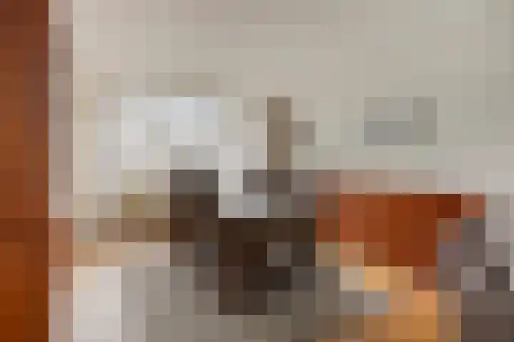 Julianastraat 35 Berlicum thumbnail 5
