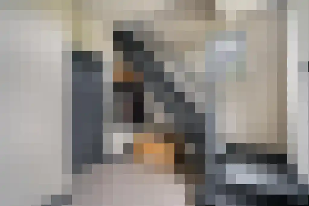 Julianastraat 35 Boekel thumbnail 11