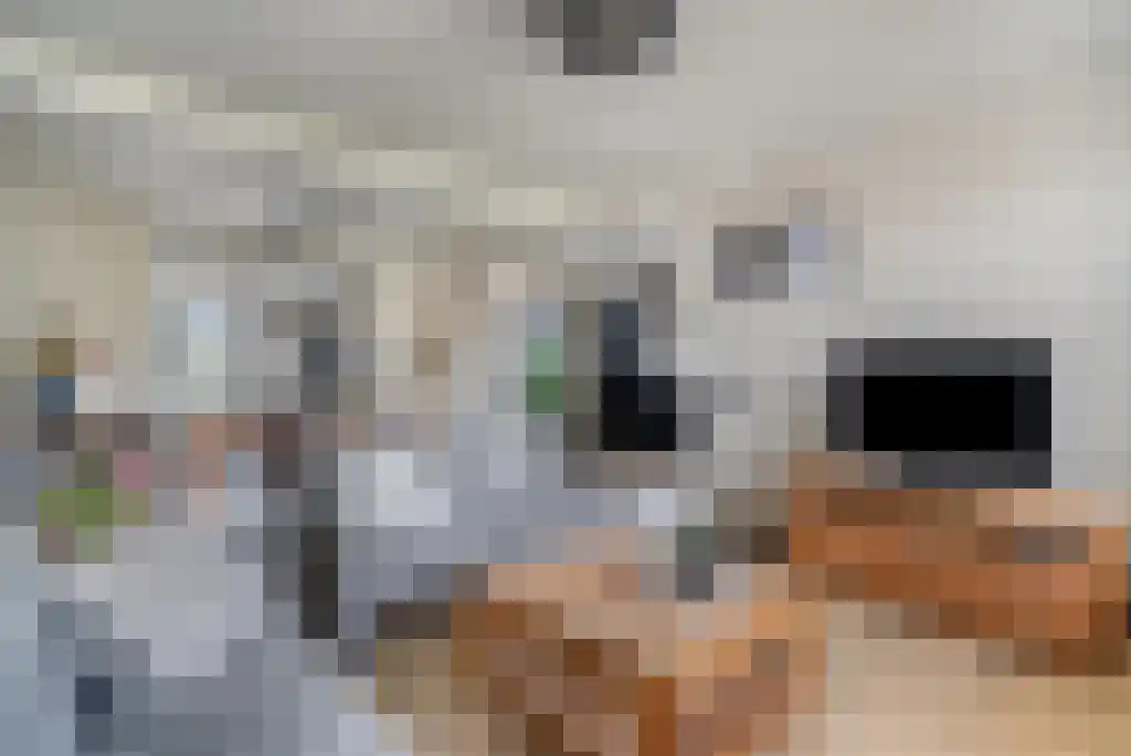 Julianastraat 35 Boekel thumbnail 16