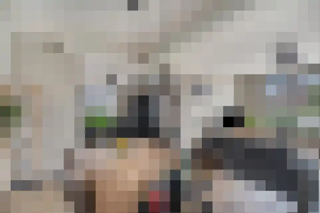 Julianastraat 35 Boekel thumbnail 21