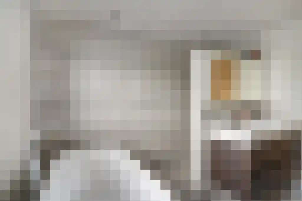Julianastraat 35 Boekel thumbnail 30