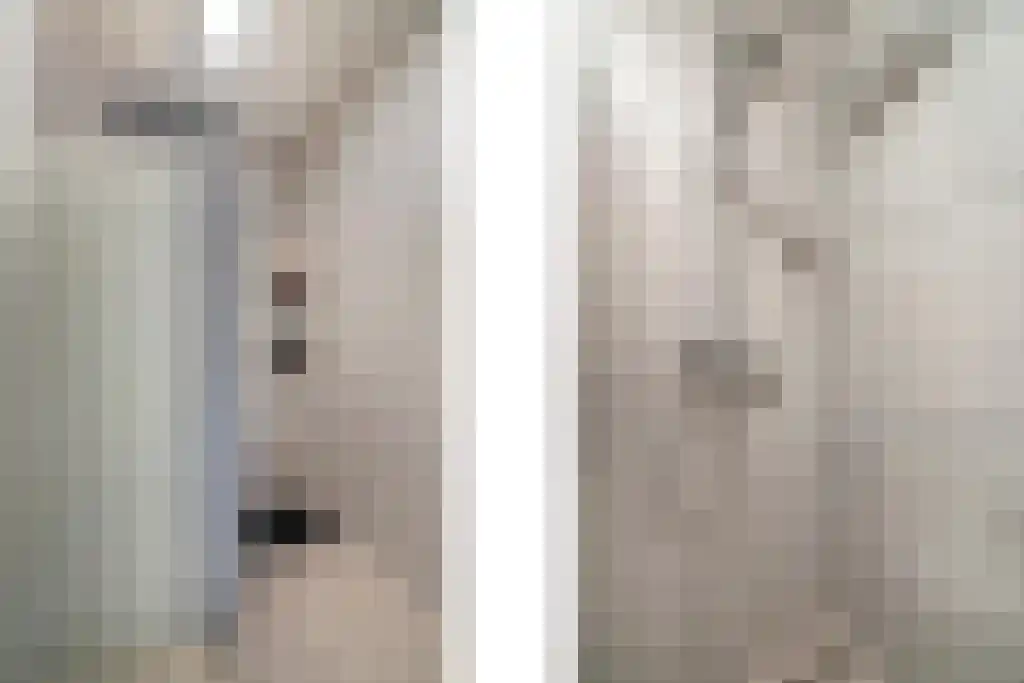 Julianastraat 35 Boekel thumbnail 33