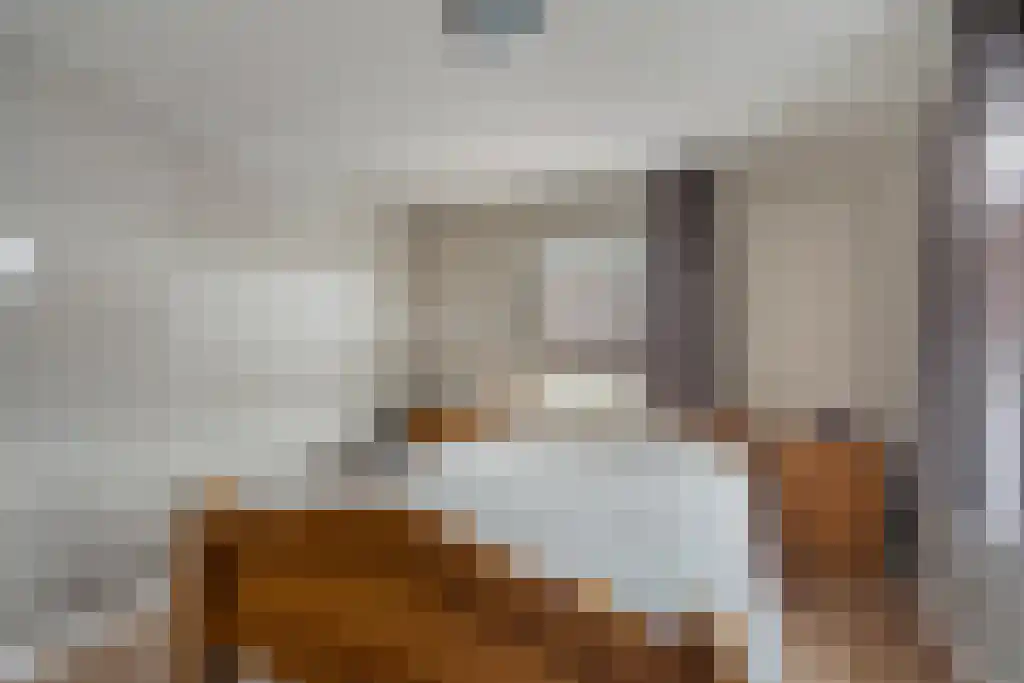 Julianastraat 35 Boekel thumbnail 35