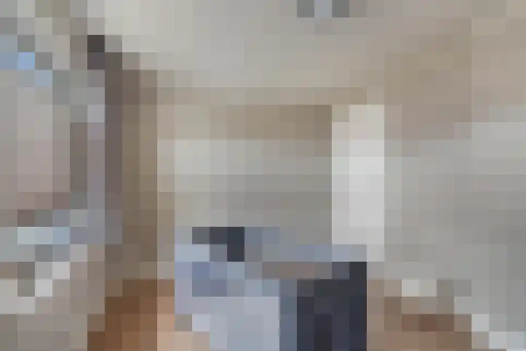 Julianastraat 35 Boekel thumbnail 39