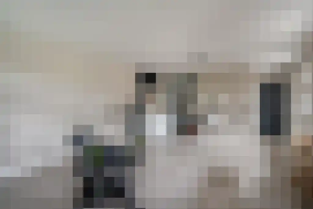 Julianastraat 35 Boekel thumbnail 45