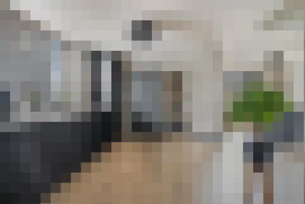 Julianastraat 35 Boekel thumbnail 5