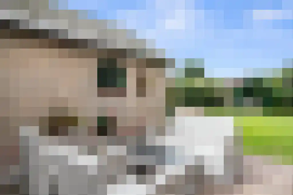 Julianastraat 35 Boekel thumbnail 53