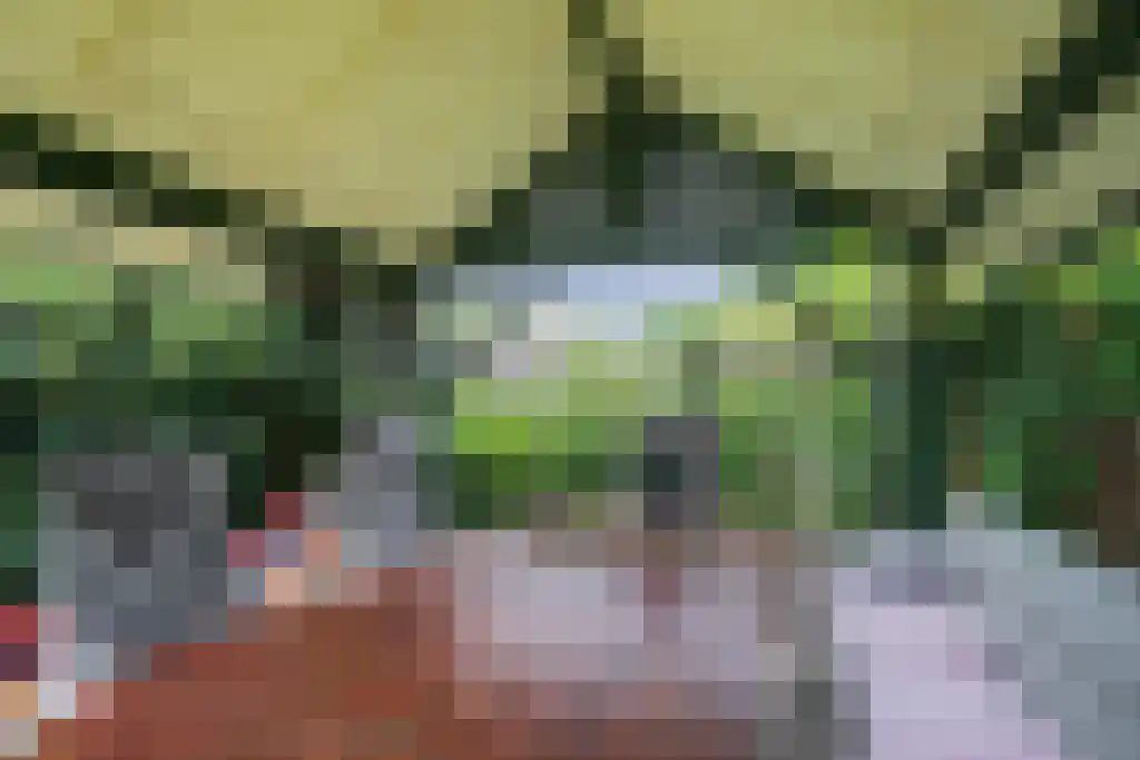 Julianastraat 35 Boekel thumbnail 61