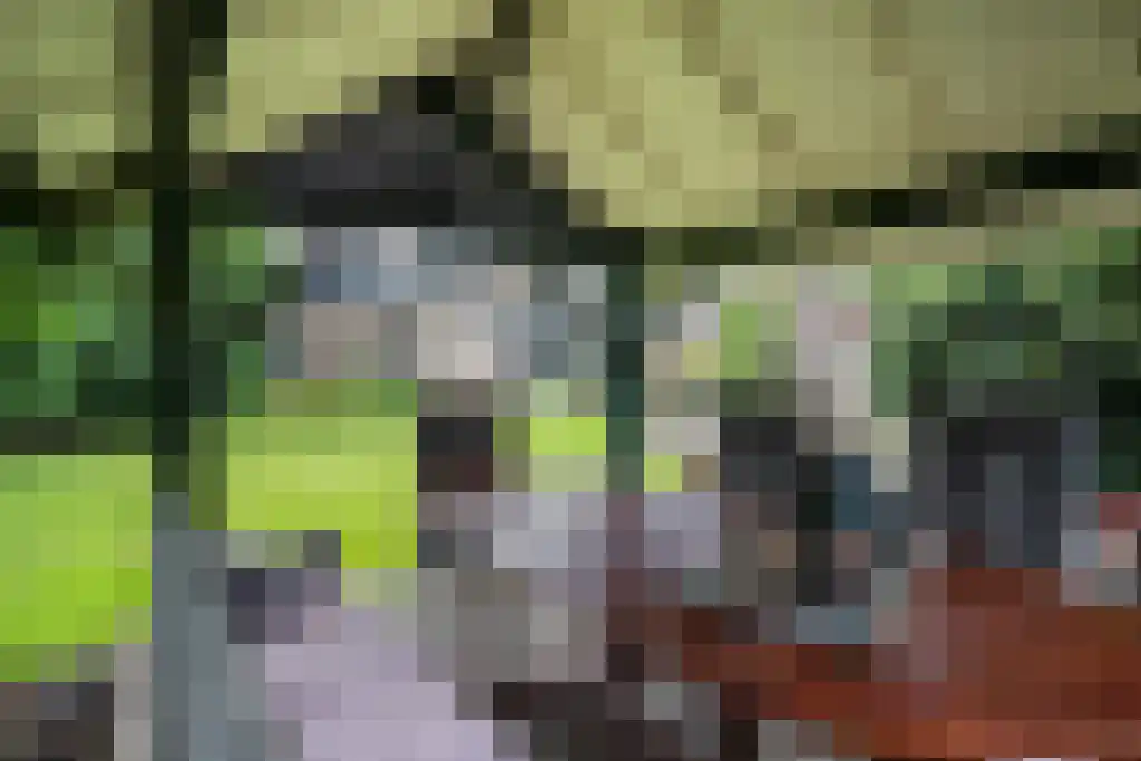 Julianastraat 35 Boekel thumbnail 62