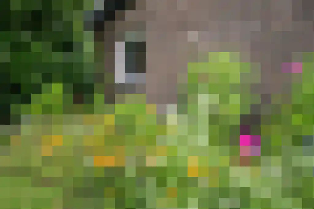 Julianastraat 35 Boekel thumbnail 64
