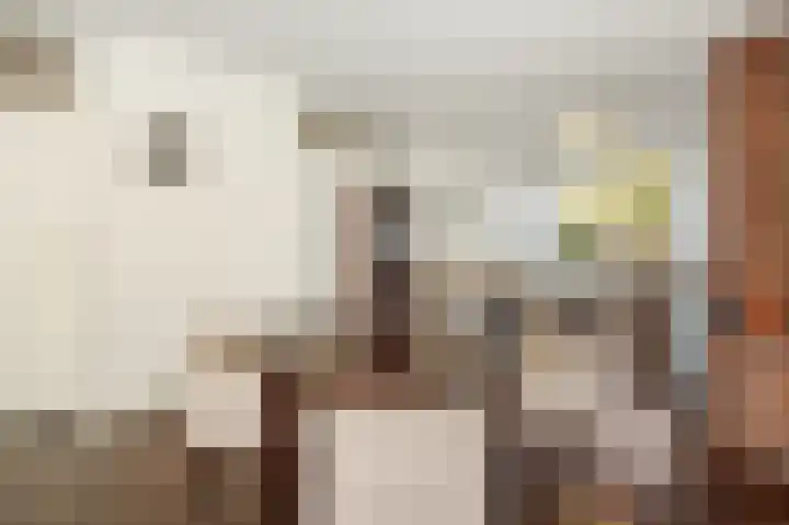 Julianastraat 35 Deurne thumbnail 10