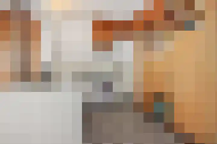 Julianastraat 35 Deurne thumbnail 16