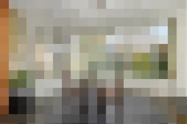 Julianastraat 35 Deurne thumbnail 18