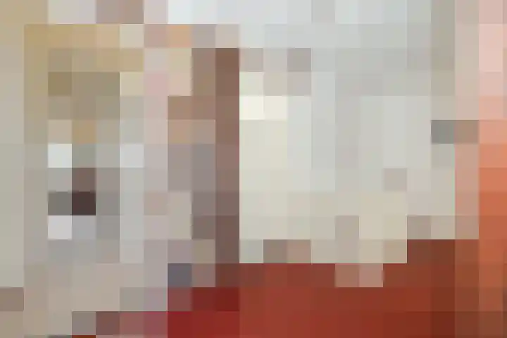Julianastraat 35 Deurne thumbnail 19