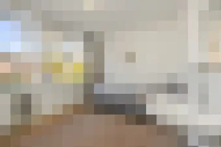 Julianastraat 35 Deurne thumbnail 21