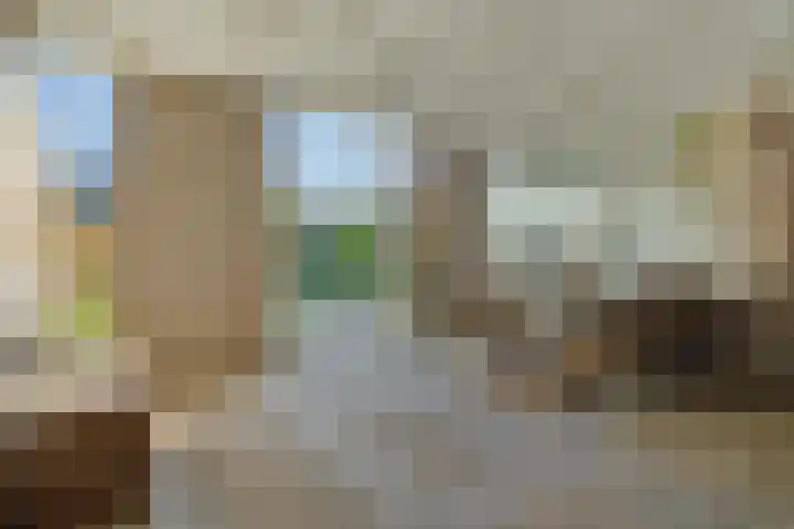 Julianastraat 35 Deurne thumbnail 29