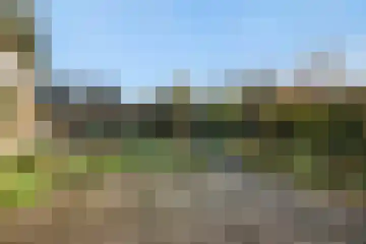 Julianastraat 35 Deurne thumbnail 30