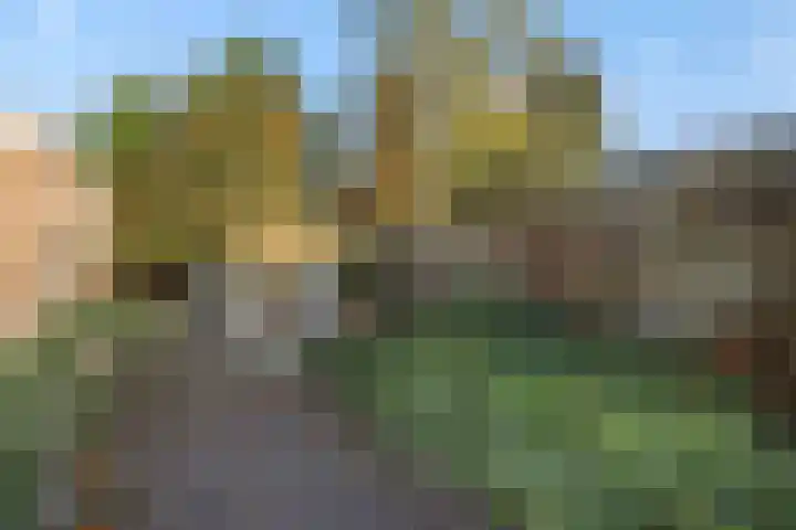 Julianastraat 35 Deurne thumbnail 31