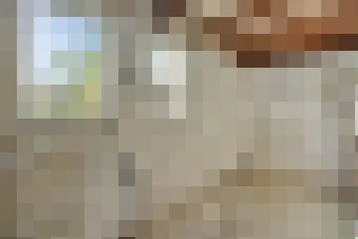 Julianastraat 35 Deurne thumbnail 34