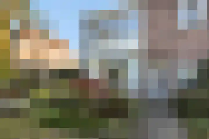 Julianastraat 35 Deurne thumbnail 37