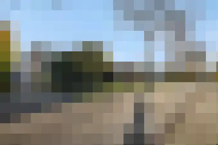 Julianastraat 35 Deurne thumbnail 39