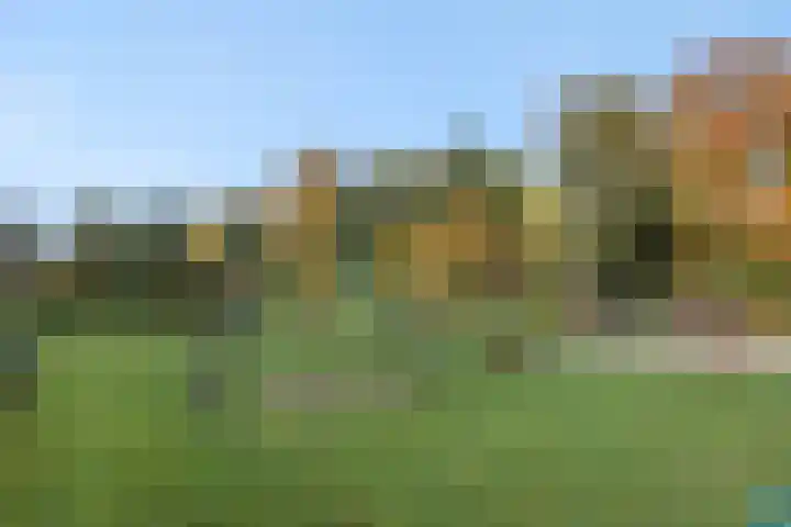 Julianastraat 35 Deurne thumbnail 41