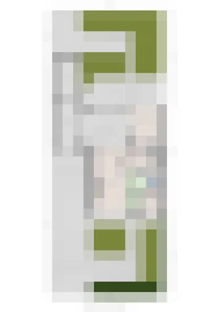 Julianastraat 35 Deurne thumbnail 46