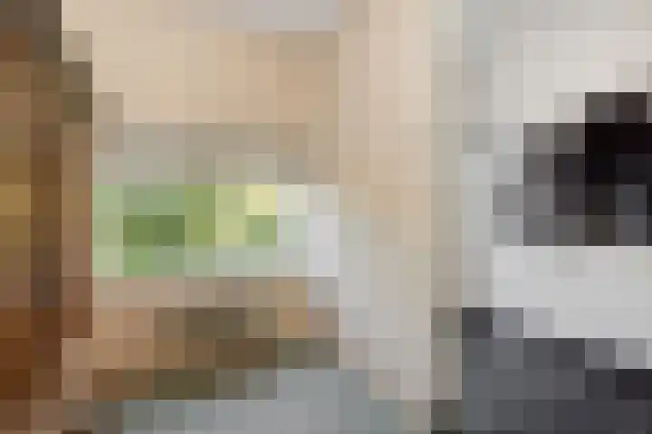 Julianastraat 35 Deurne thumbnail 8
